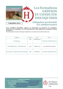 calendrier-2017-ifce-hn-formations-dtam